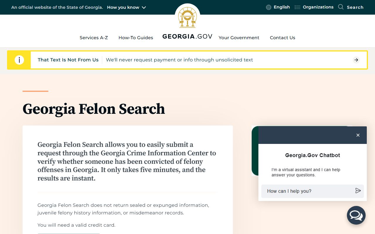 Georgia Felon Search service page for Chatham County criminal history
